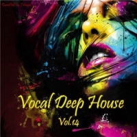 VA - Vocal Deep House Vol.14 [Compiled by Zebyte] (2016) MP3