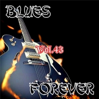 VA - Blues Forever, Vol.43 (2016) MP3