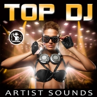 VA - Top DJ Artist Sounds (2016) MP3
