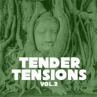 VA - Tender Tensions, Vol. 2 (2016) MP3