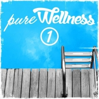 VA - Pure Wellness 1 (2016) MP3