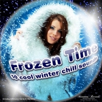 VA - Frozen Time - 50 Cool Winter Chill Sounds (2016) MP3