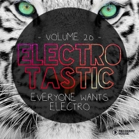 VA - Electrotastic, Vol. 20 (2016) MP3