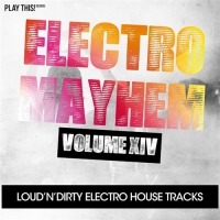 VA - Electro Mayhem, Vol. 14 (2016) MP3