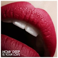 VA - How Deep Is Your Love (2016) MP3