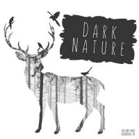 VA - Dark Nature (2016) MP3