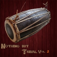 VA - Nothing But Tribal, Vol. 2 (2016) MP3