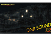 VA - DNB Sound vol.12 (2016) MP3