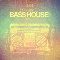 VA - Straight Up Bass House! Vol. 3 (2016) MP3