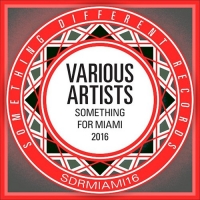 VA - Something For Miami 2016 (2016) MP3