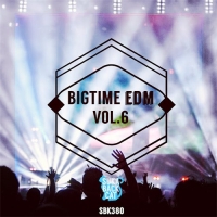 VA - Bigtime Edm Vol 6 (2016) MP3