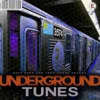 VA - Underground Tunes, Vol. 2 (2016) MP3