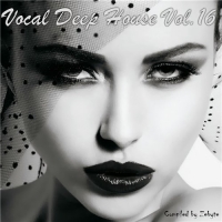 VA - Vocal Deep House Vol.16 [Compiled by Zebyte] (2016) MP3