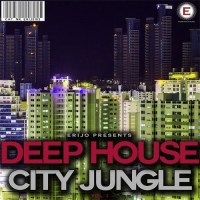VA - Deep House City Jungle, Vol. 2 (2016) MP3