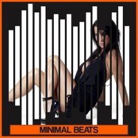 VA - Minimal Beats (2016) MP3