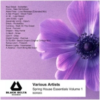 VA - Spring House Essentials Volume 1 (2016) MP3