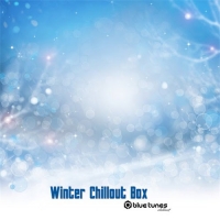 VA - Winter Chillout Box (2016) MP3