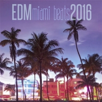 VA - EDM Miami Beats 2016 (2016) MP3