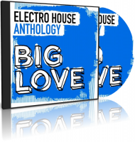 VA - Big Love Electro House Anthology (2016) MP3