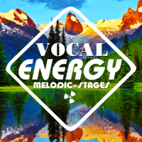 VA - Vocal Energy Stages (2016) MP3