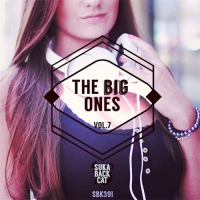VA - The Big Ones, Vol. 7 (2016) MP3