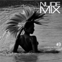 VA - Nude Mix #3 (2016) MP3