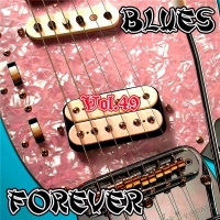 VA - Blues Forever, Vol.49 (2016) MP3