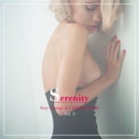 VA - Serenity Sexy Lounge & Chill out Pearls Vol 3 (2016) MP3