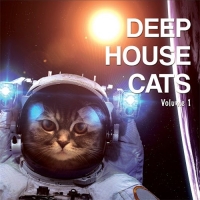VA - Deep House Cats Vol. 1 (2016) MP3