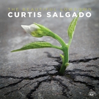 Curtis Salgado - The Beautiful Lowdown (2016) MP3