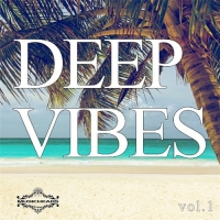 VA - Deep Vibes Vol. 1 (2016) MP3