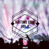 VA - Bigtime EDM Vol. 7 (2016) MP3