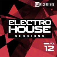 VA - Electro House Sessions Vol. 12 (2016) MP3