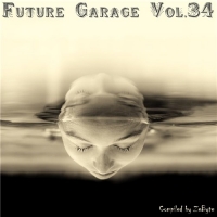 VA - Future Garage Vol.34 [Compiled by Zebyte] (2016) MP3