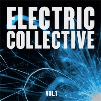 VA - Electric Collective Vol. 1 (2016) MP3