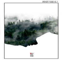 VA - Vandalism Musique Vol. 4 (2016) MP3