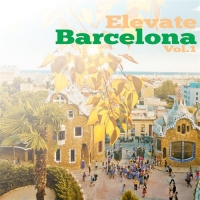 VA - Elevate Barcelona Vol. 1 (2016) MP3