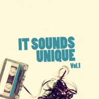 VA - It Sounds Unique Vol. 1 (2016) MP3