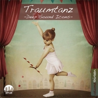 VA - Traumtanz Vol. 13 - Deep Sound Icons (2016) MP3