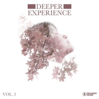 VA - Deeper Experience Vol. 2 (2016) MP3