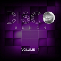 VA - Disco Bunch Vol. 11 (2016) MP3