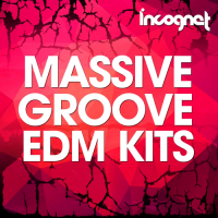 VA - Scene Massive Groove EDM (2016) MP3
