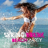 VA - Spring Break Beach Party (2016) MP3