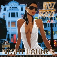 VA - Hotel Breez: Night Lounge (2016) MP3
