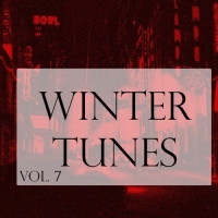 VA - Winter Tunes Vol. 7 (2016) MP3