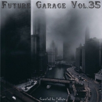 VA - Future Garage Vol.35 [Compiled by Zebyte] (2016) MP3