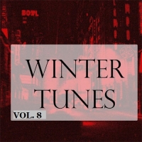 VA - Winter Tunes Vol. 8 (2016) MP3