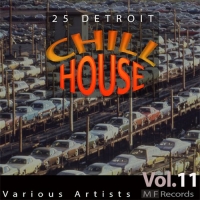 VA - 25 Detroit Chillhouse Vol. 11 (2016) MP3