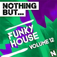 VA - Nothing But... Funky House Vol. 12 (2016) MP3