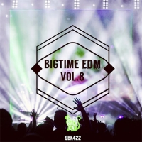 VA - Bigtime EDM Vol. 8 (2016) MP3